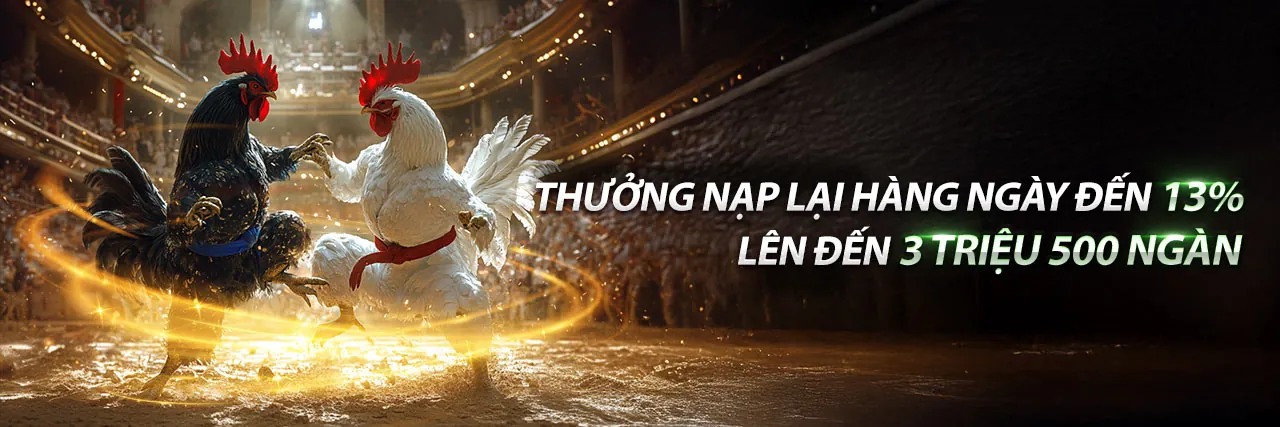 Sảnh đá gà kịch tính tại 678win