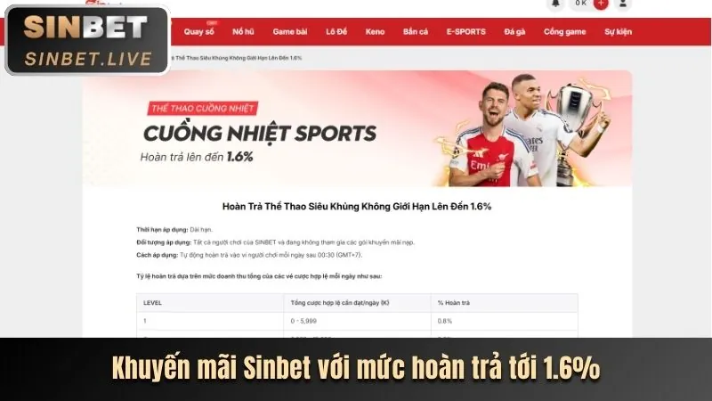 Cá cược các môn thể thao khác